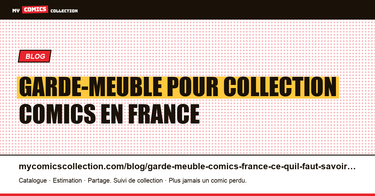 Garde-meuble pour collection comics en France : tout ce qu'il faut savoir — illustration article