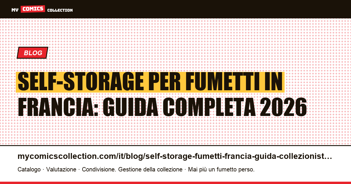 Self-storage per fumetti in Francia: tutto quello che devi sapere — illustrazione articolo