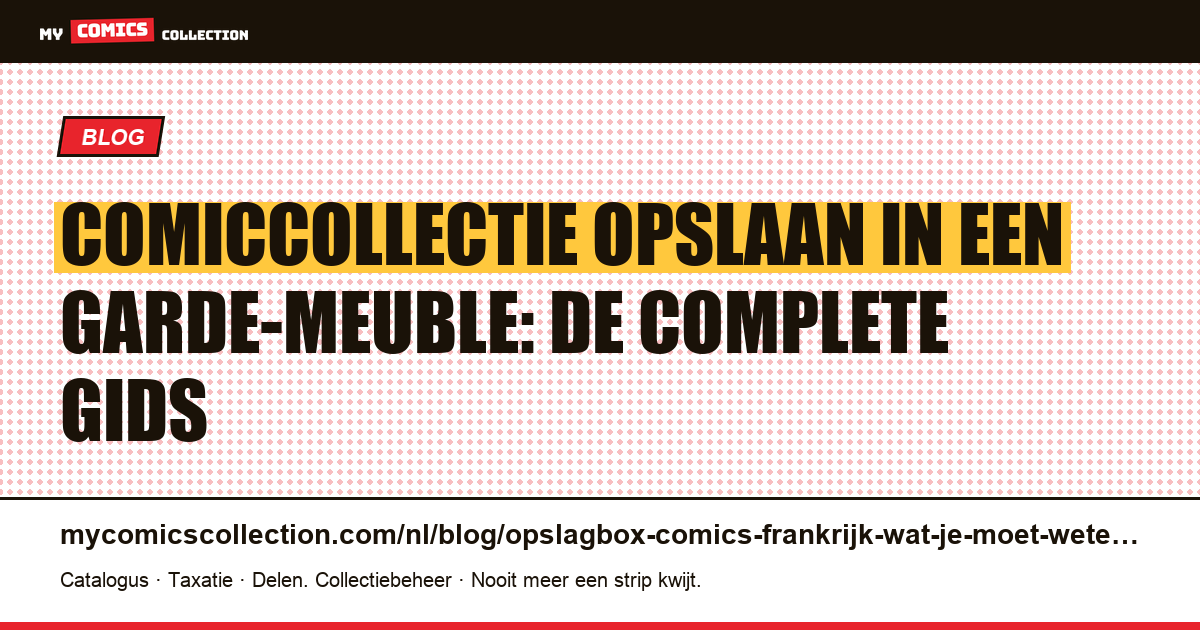 Comics opslaan in een garde-meuble in Frankrijk: de complete gids — artikelillustratie